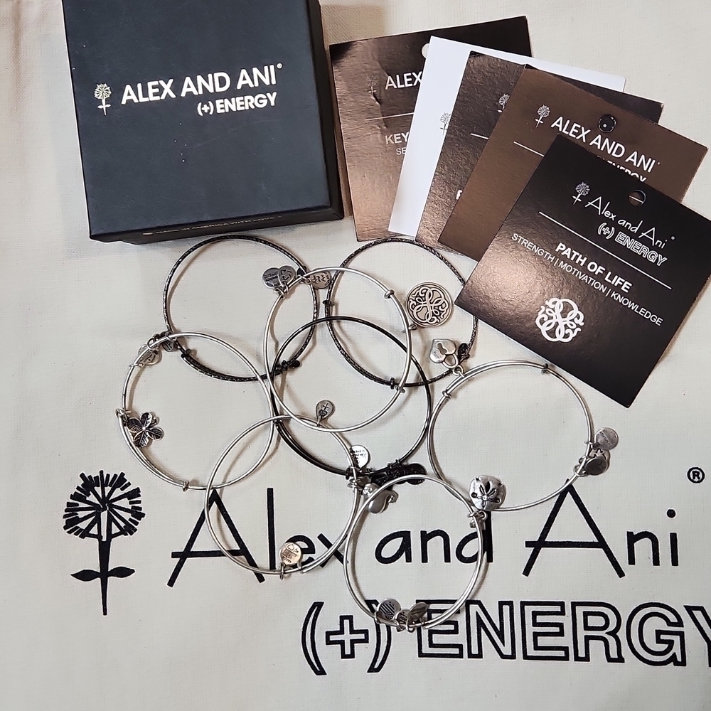 𝅺alex and Ani Bracelets, Box and Bag